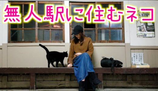無人駅に住む猫と仲良くなれた！電車の待ち時間が1時間だったけどあっという間！