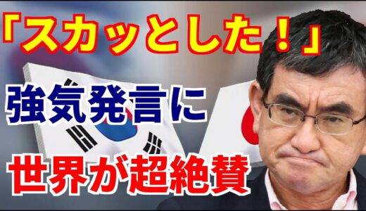 【海外の反応】「日本にもあんな人がいれば安心だね」日韓合意破棄を望むK国に河野大臣のド正論が炸裂！